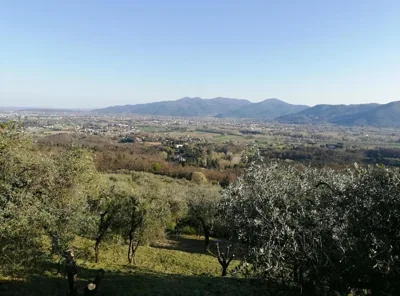 Villa Casetta – Foto 10