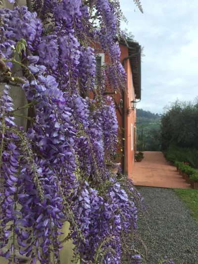 Villa Casetta – Foto 11